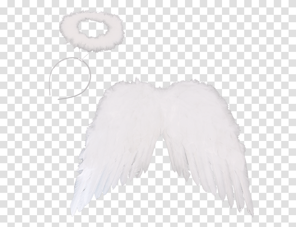 Illustration, Bird, Animal, Mustache, Plush Transparent Png