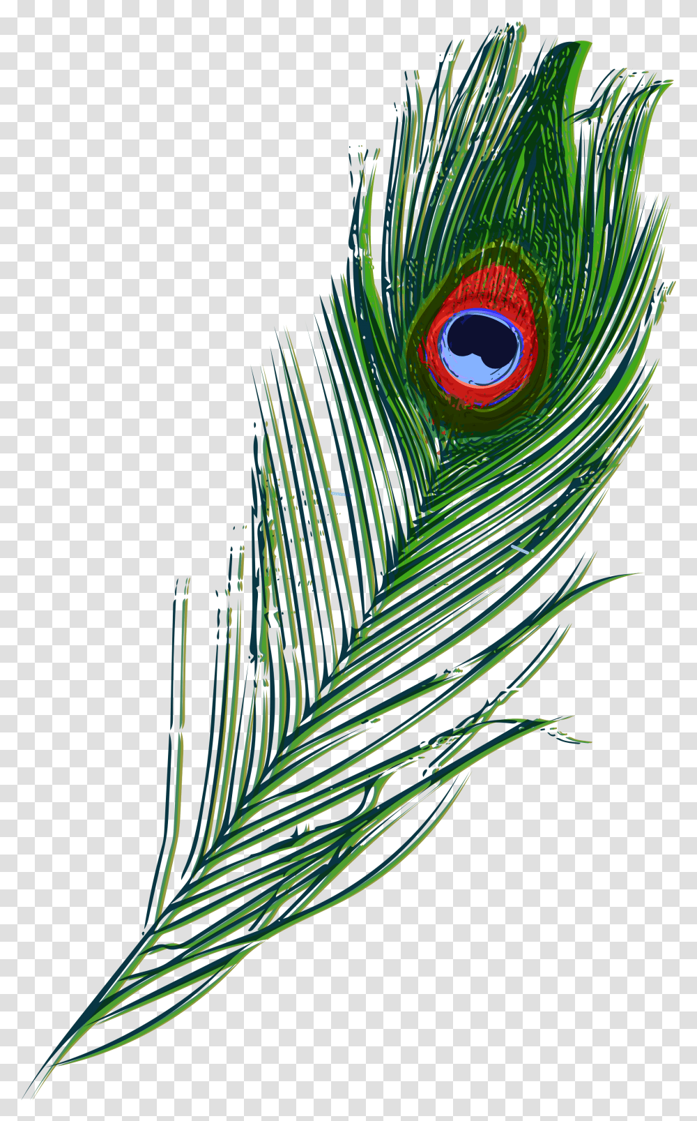 Illustration, Bird, Animal, Peacock, Veins Transparent Png