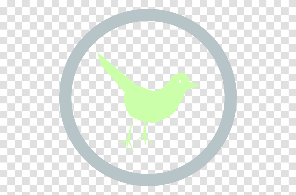 Illustration, Bird, Animal, Poultry, Fowl Transparent Png