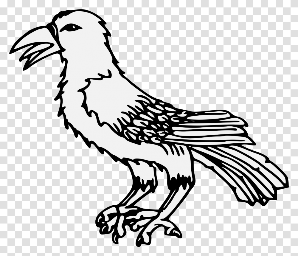 Illustration, Bird, Animal, Vulture, Eagle Transparent Png