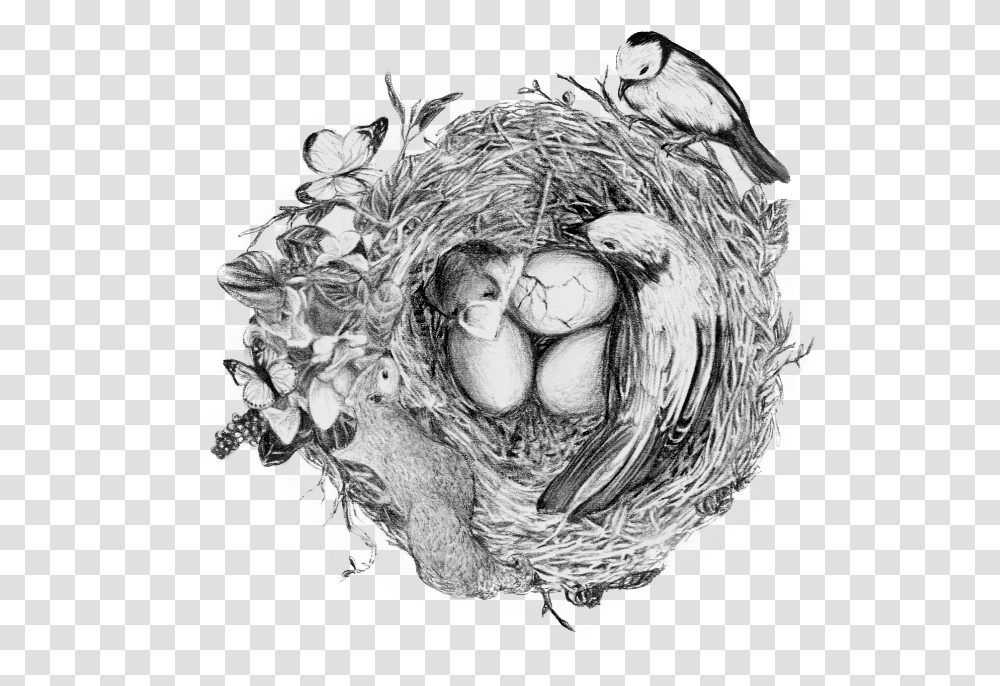 Illustration, Bird, Food, Person, Plant Transparent Png