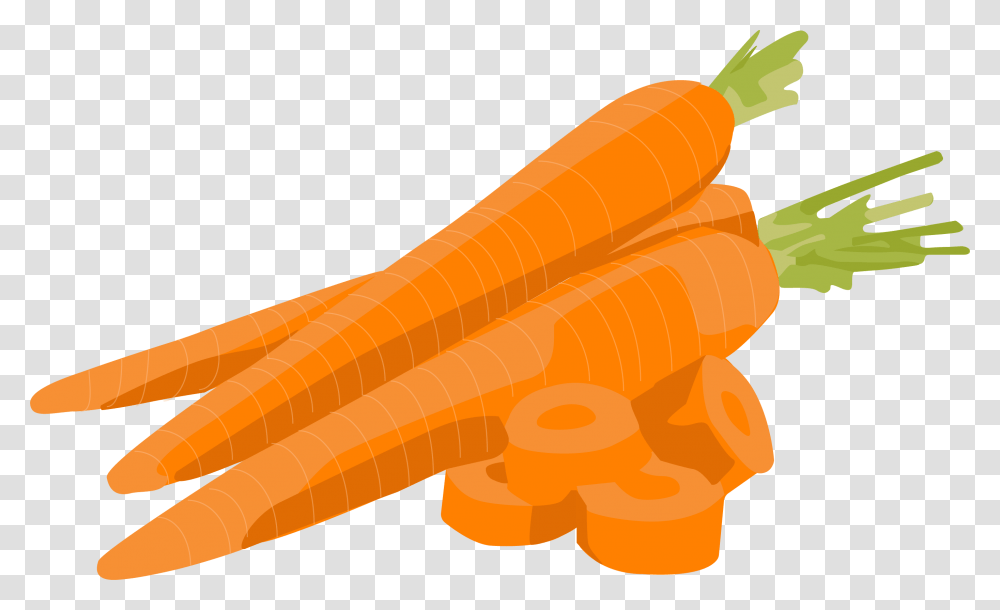 Illustration, Carrot, Vegetable, Plant, Food Transparent Png