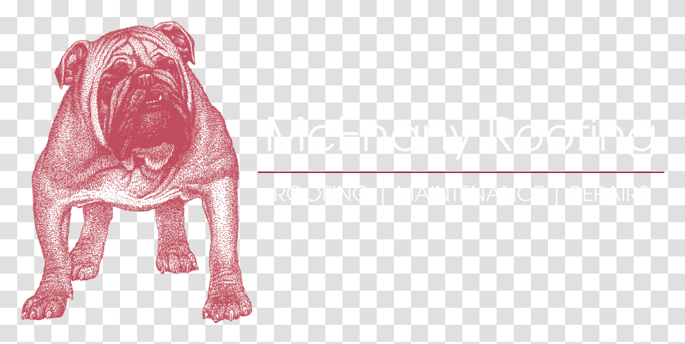 Illustration, Animal, Mammal, Overcoat Transparent Png