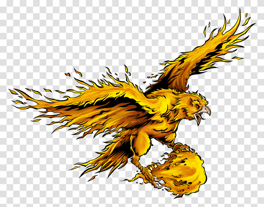 Illustration, Eagle, Bird, Animal, Kite Bird Transparent Png