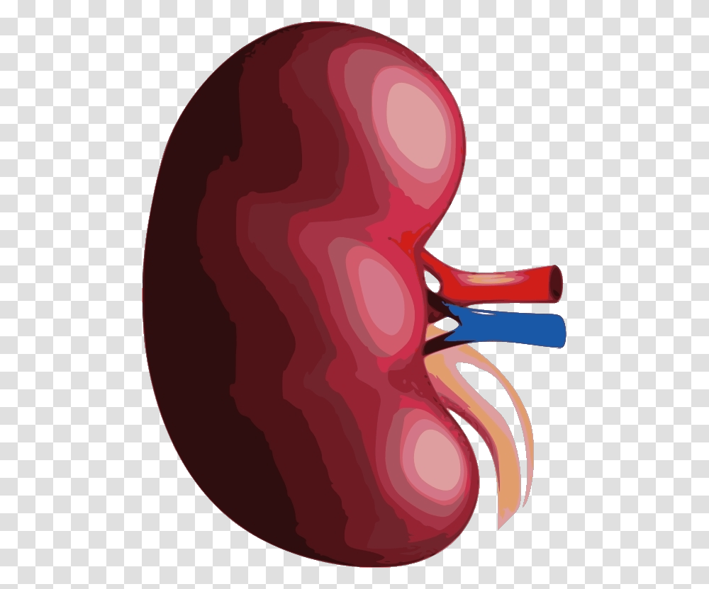 Illustration, Ear, Maroon, Sweets, Food Transparent Png