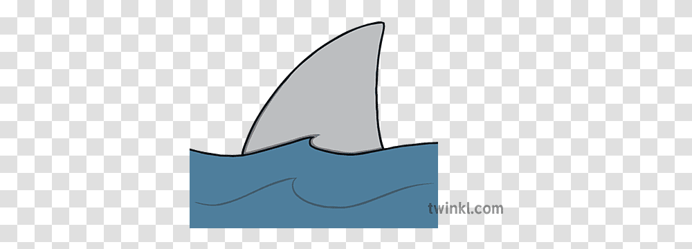 Illustration Fin, Outdoors, Nature, Animal, Sea Life Transparent Png