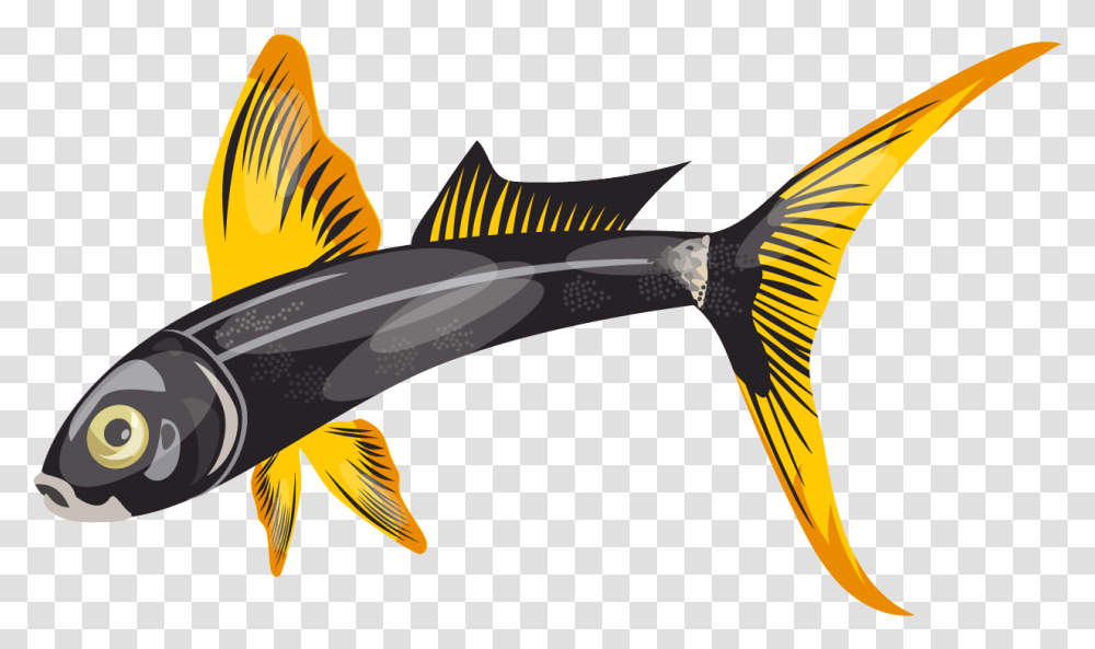 Illustration, Fish, Animal, Bird, Sea Life Transparent Png