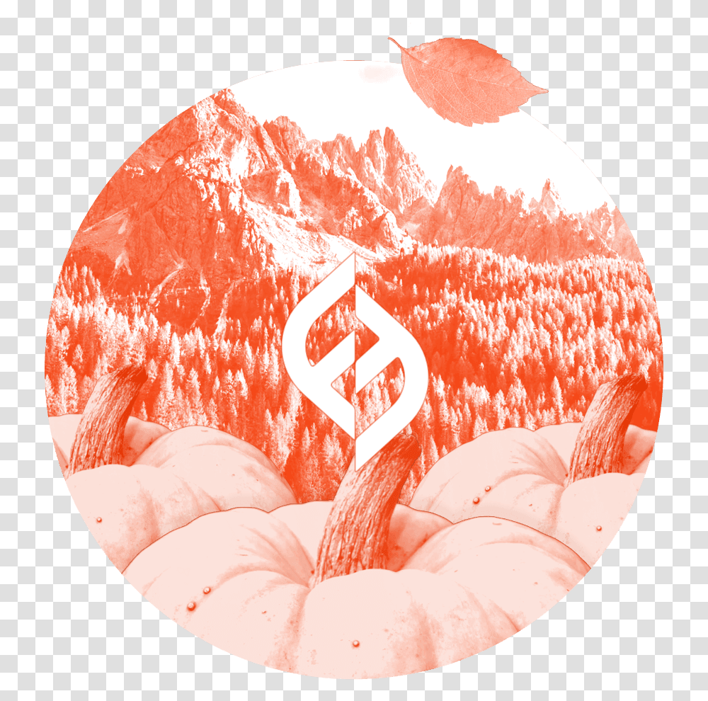 Illustration, Food, Pork, Animal, Fish Transparent Png