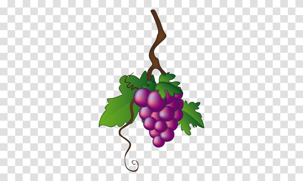 Illustration, Grapes, Fruit, Plant, Food Transparent Png