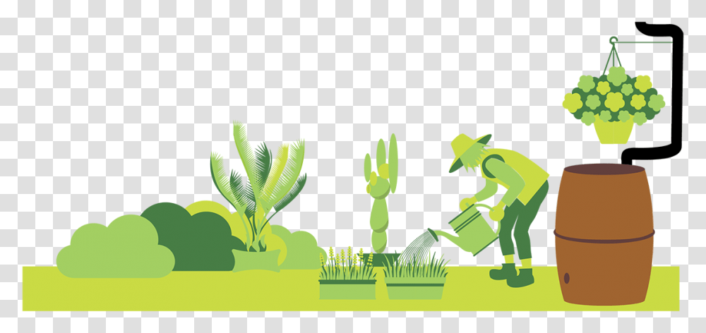 Illustration, Green, Plant, Drawing Transparent Png