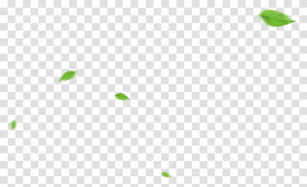 Illustration, Green, Home Decor, Plant Transparent Png