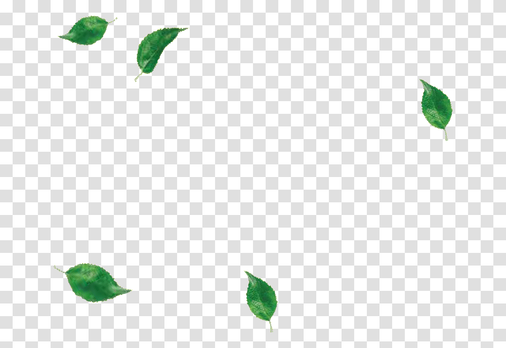 Illustration, Green, Leaf, Plant, Bird Transparent Png