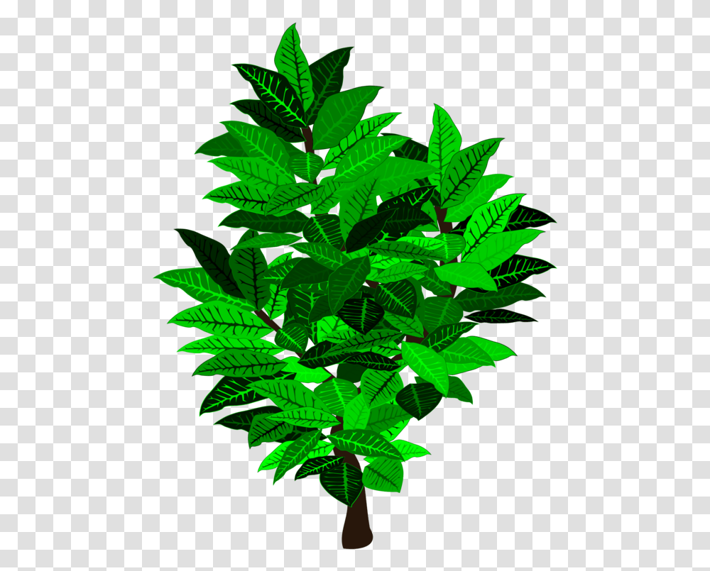 Illustration, Green, Leaf, Plant, Vegetation Transparent Png