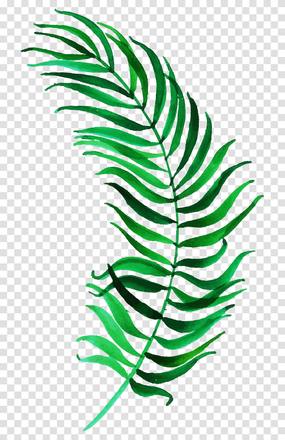 Illustration, Green, Pineapple, Fruit, Plant Transparent Png