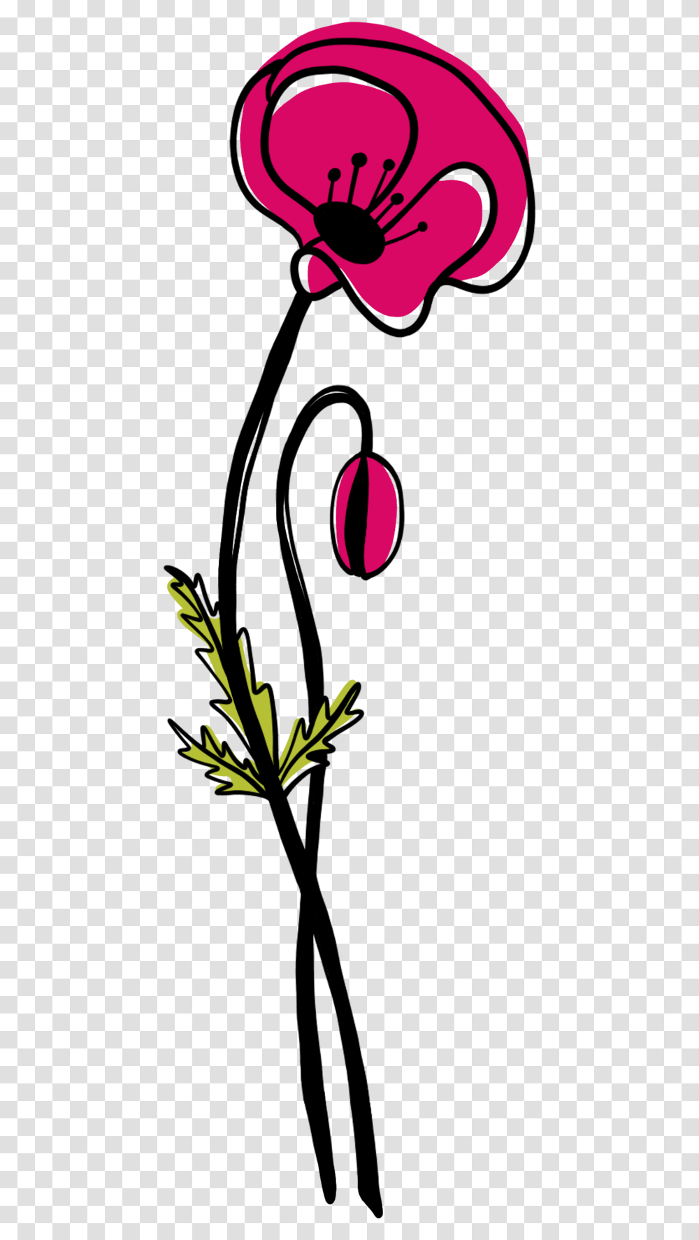 Illustration, Green, Plant, Flower, Petal Transparent Png