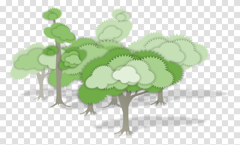 Illustration, Green, Plant, Leaf, Fern Transparent Png