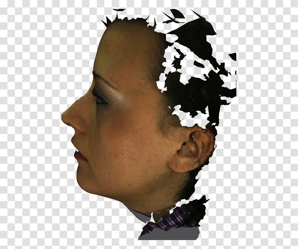 Illustration, Head, Face, Person, Human Transparent Png