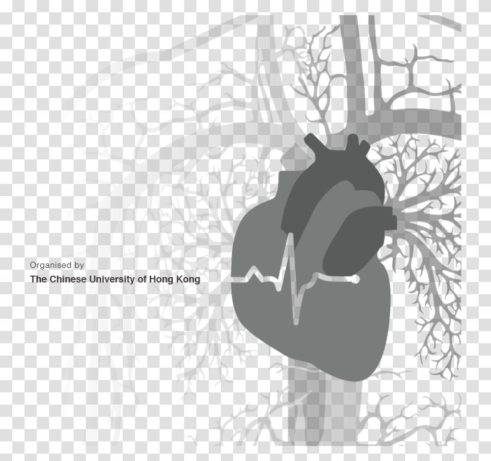 Illustration Heart Failure, Root, Plant, Poster, Advertisement Transparent Png