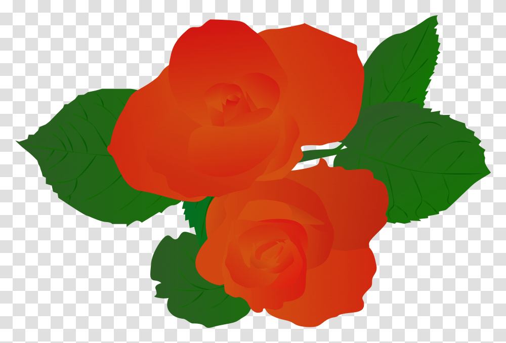 Illustration Illustrator Plant Rose Hand Drawn Red Illustration, Flower, Blossom, Petal, Carnation Transparent Png