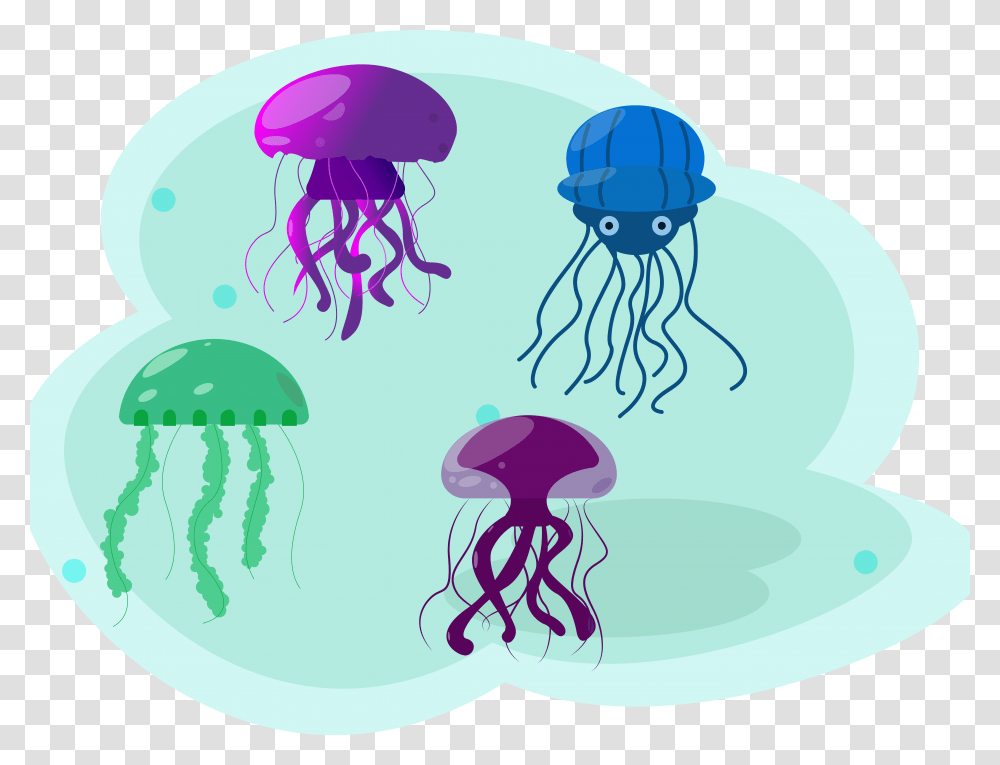 Illustration, Jellyfish, Invertebrate, Sea Life, Animal Transparent Png