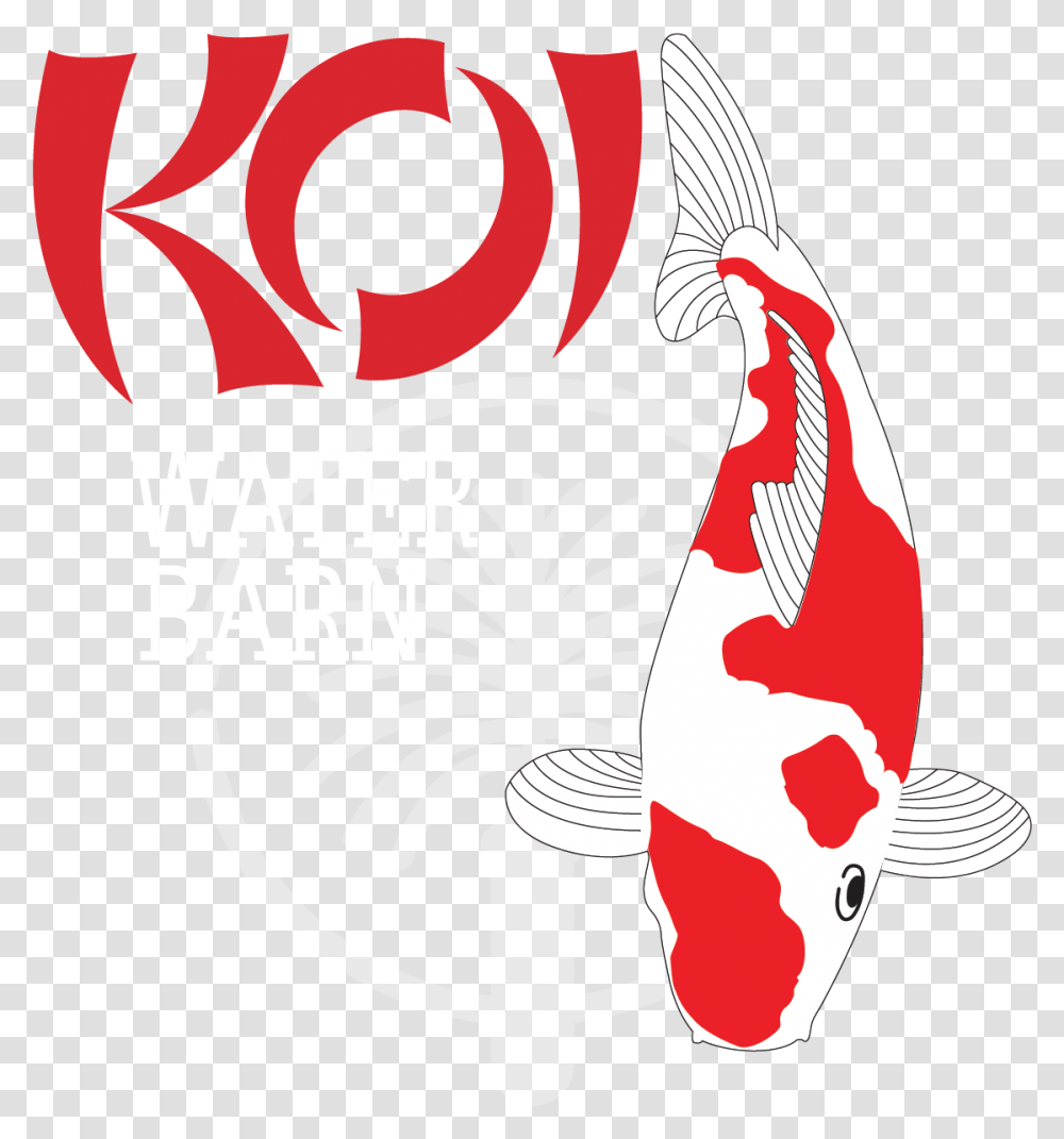 Illustration, Koi, Carp, Fish, Animal Transparent Png