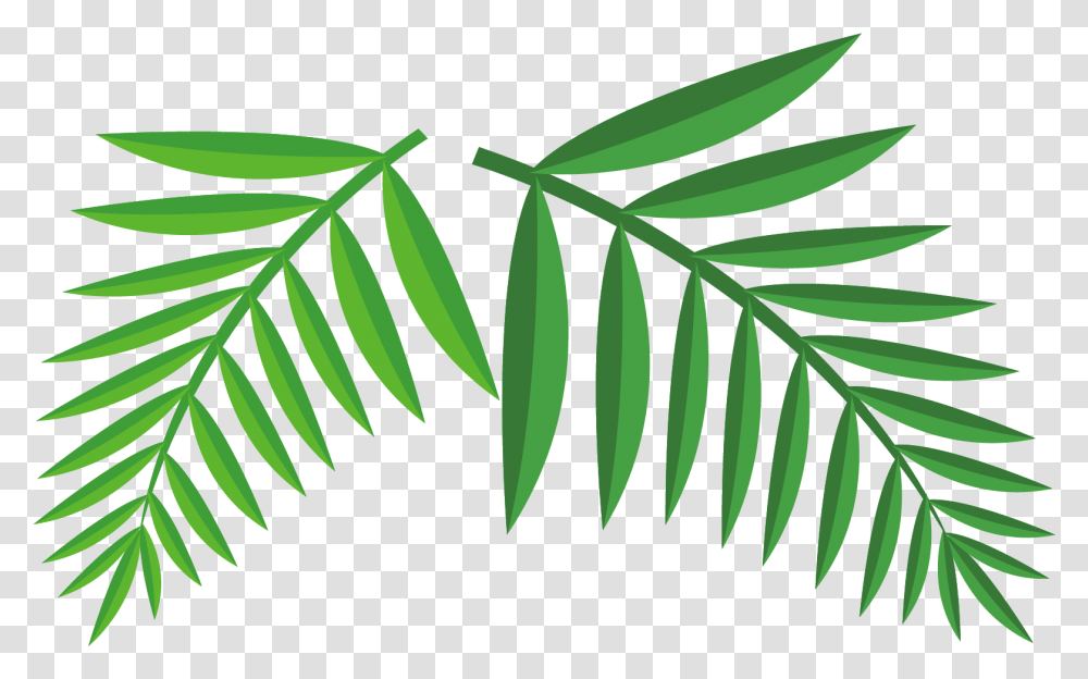 Illustration, Leaf, Plant, Fern, Tree Transparent Png