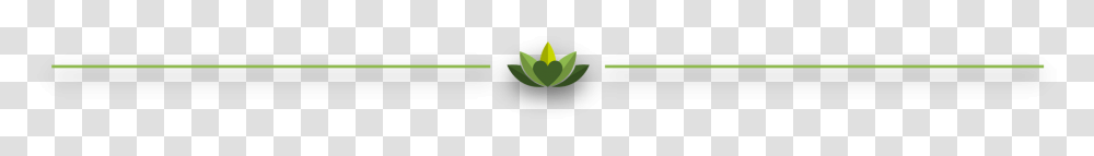 Illustration, Leaf, Plant, Flower, Bud Transparent Png