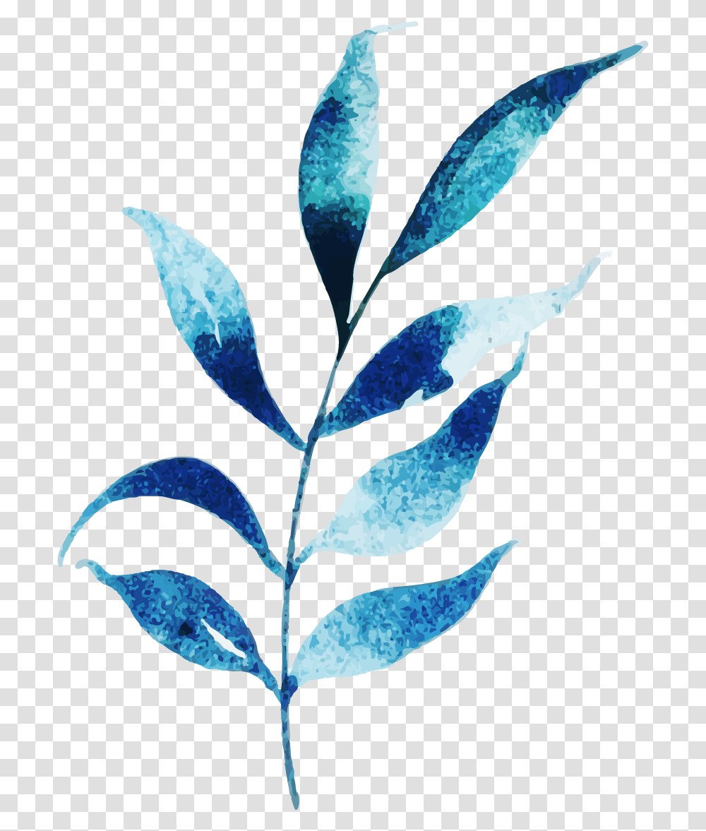Illustration, Leaf, Plant Transparent Png