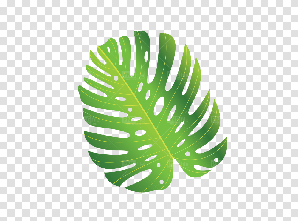 Illustration, Leaf, Plant, Green, Pineapple Transparent Png