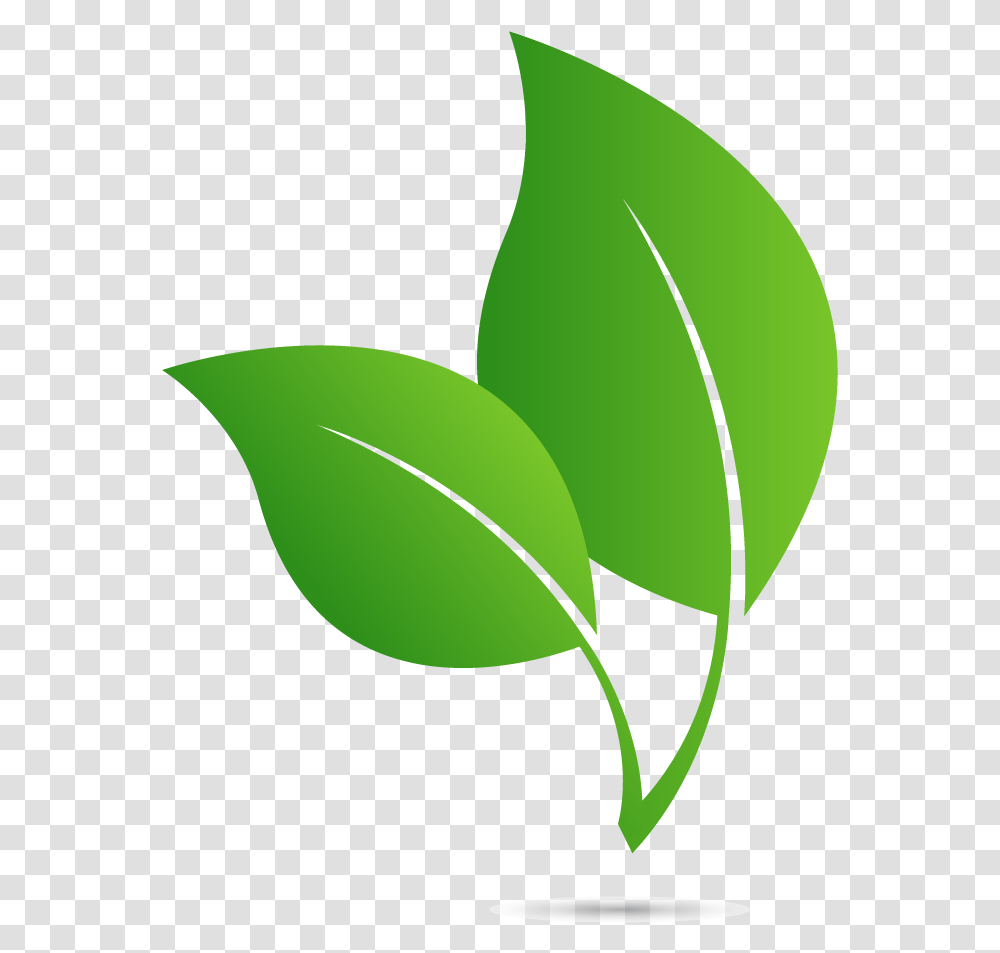 Illustration, Leaf, Plant, Green, Tennis Ball Transparent Png