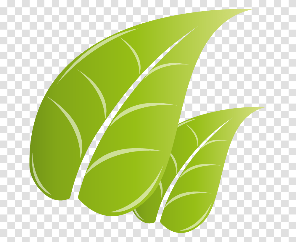Illustration, Leaf, Plant, Green, Tennis Ball Transparent Png