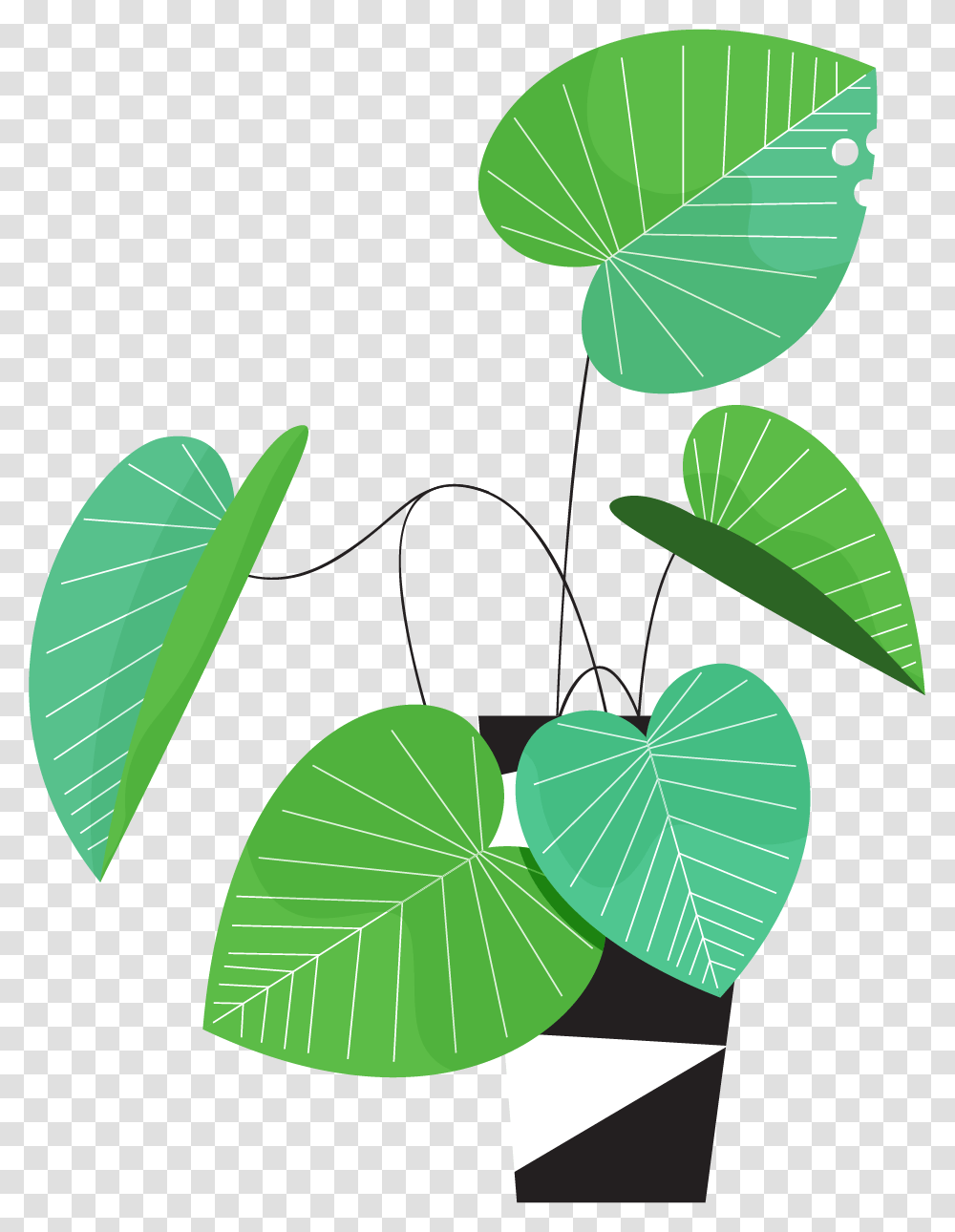 Illustration, Leaf, Plant, Green, Veins Transparent Png