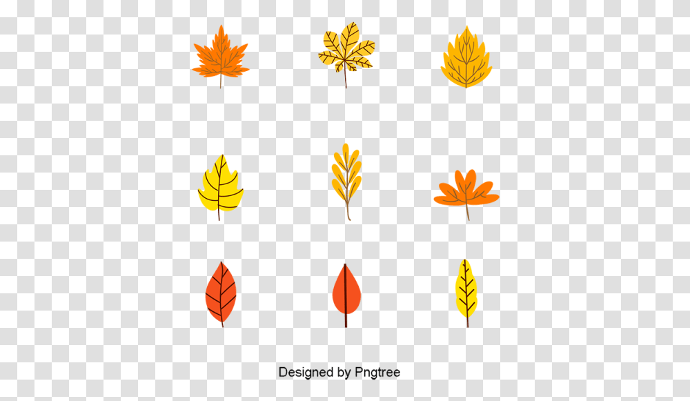 Illustration, Leaf, Plant, Pattern, Tree Transparent Png