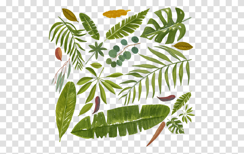 Illustration, Leaf, Plant, Tree, Flower Transparent Png