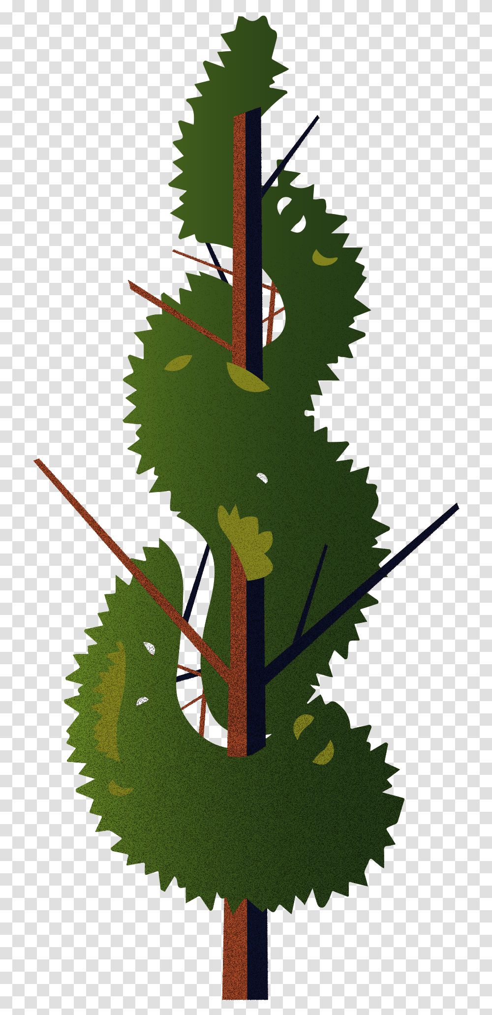 Illustration, Leaf, Plant, Tree, Pattern Transparent Png