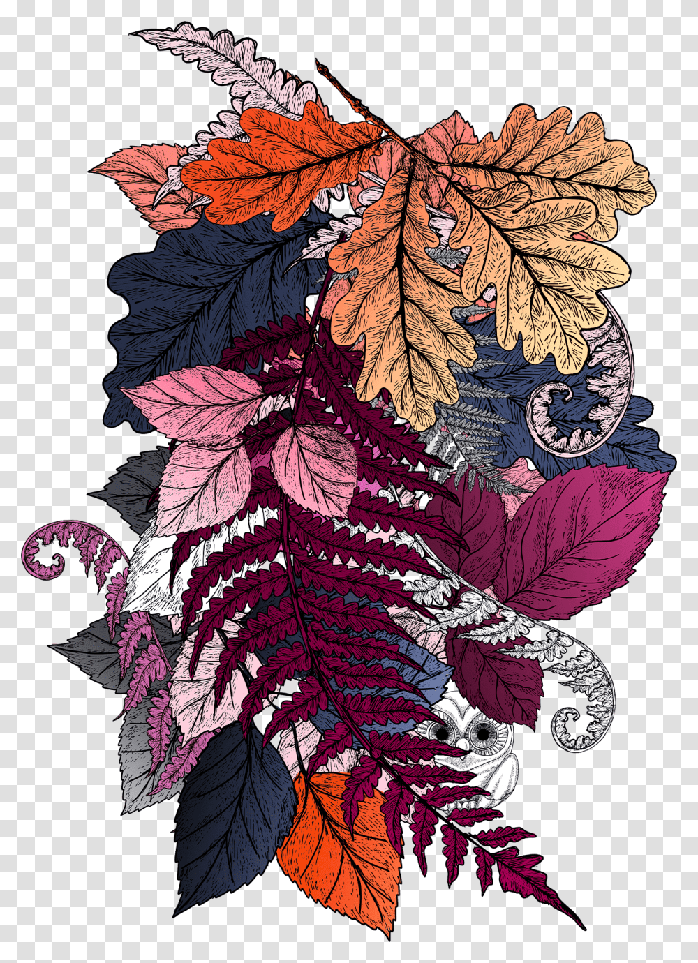 Illustration, Leaf, Plant, Veins, Tree Transparent Png