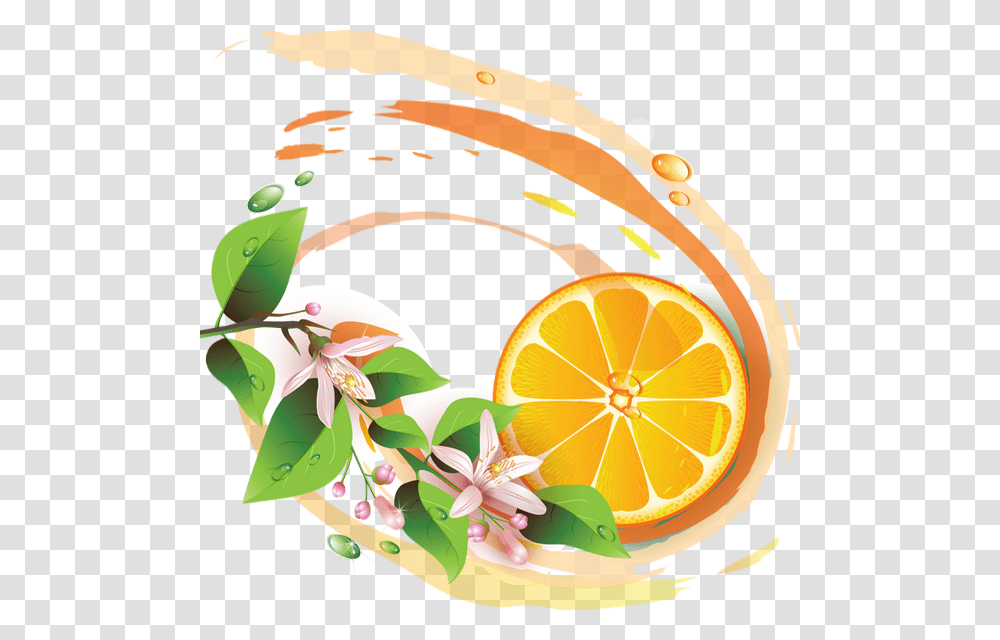 Illustration Lemon Fresh Background, Plant, Citrus Fruit, Food, Beverage Transparent Png