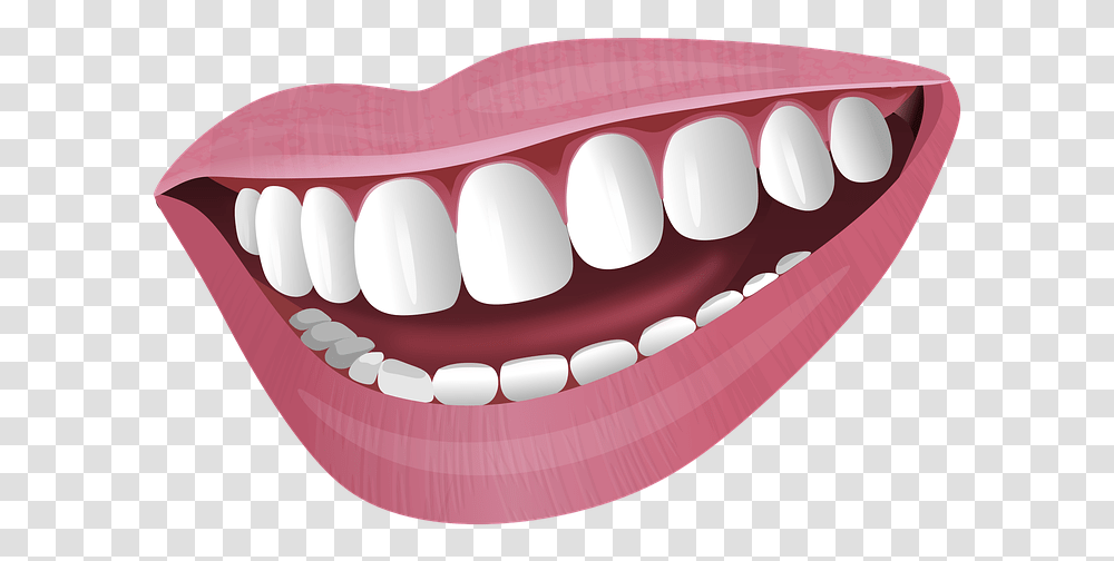 Illustration Mouth Smile Lips Teeth Face Woman Tongue Transparent Png