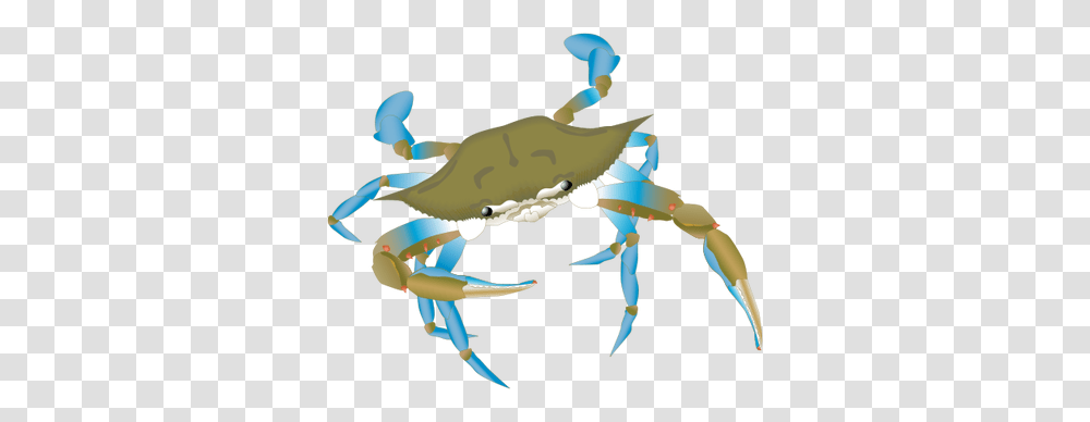 Illustration Of A Blue Crab, Toy, Seafood, Sea Life, Animal Transparent Png