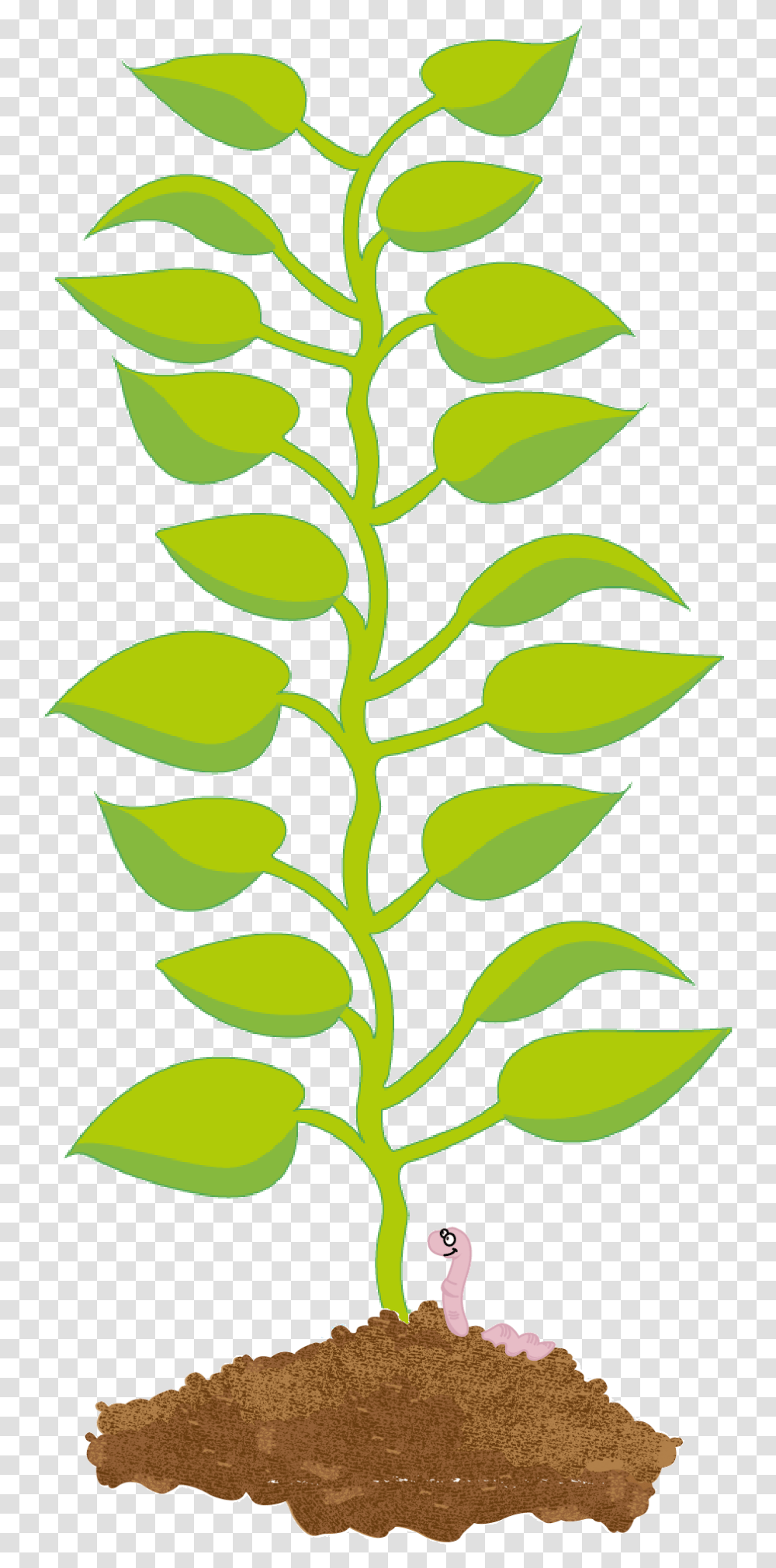 Illustration Of A Potato Plant S Leaves Growing From Clipart Potato Leaf, Green, Jar, Vase, Pottery Transparent Png