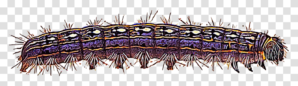 Illustration Of A Tent Caterpillar Caterpillar, Rug, Doodle, Drawing Transparent Png
