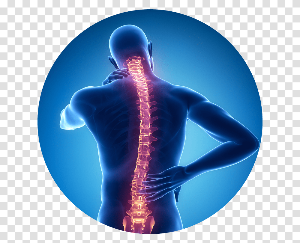 Illustration Of Back In Blue With Spine Spine, X-Ray, Medical Imaging X-Ray Film, Ct Scan, Sphere Transparent Png