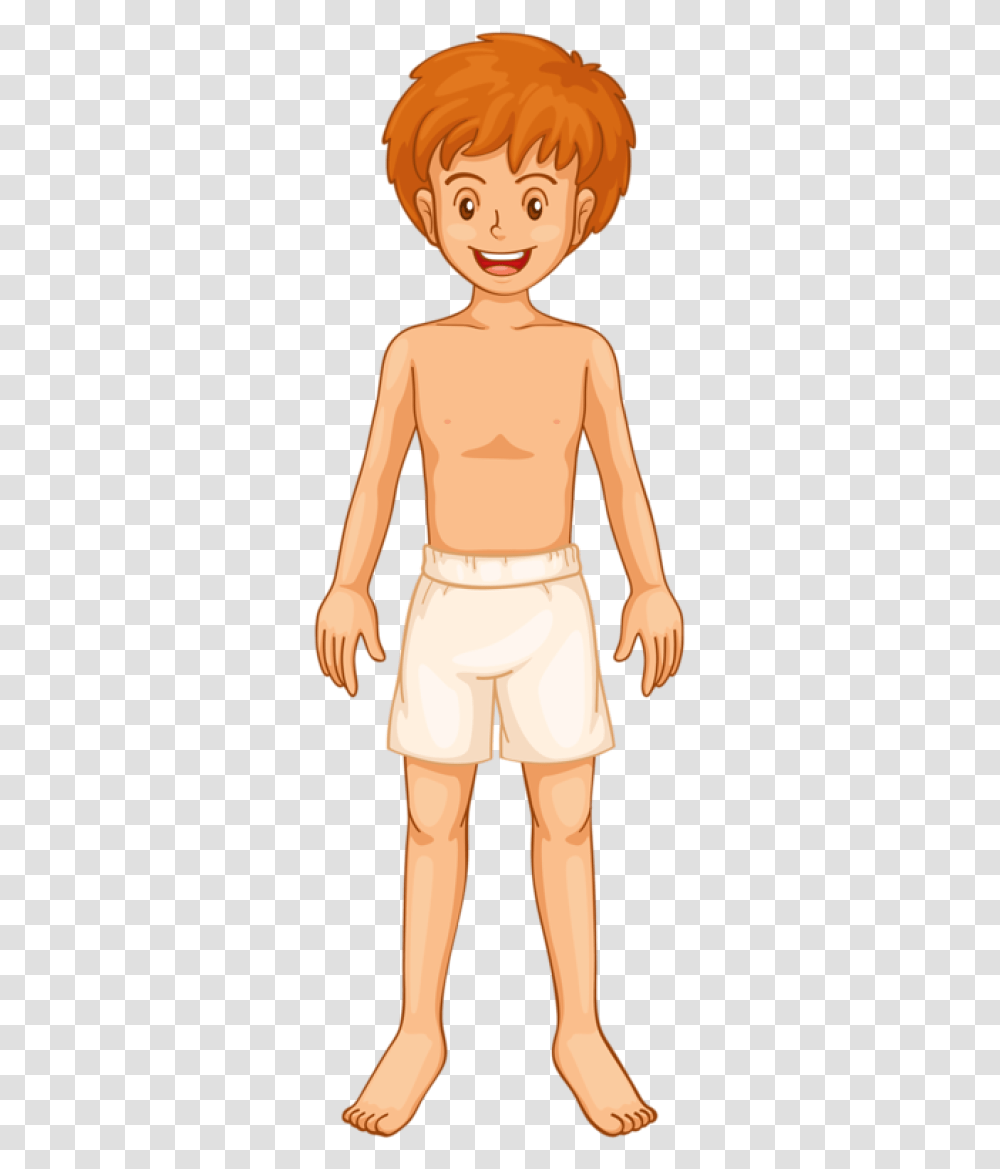Illustration Of Body Parts, Person, Human, Doll, Toy Transparent Png