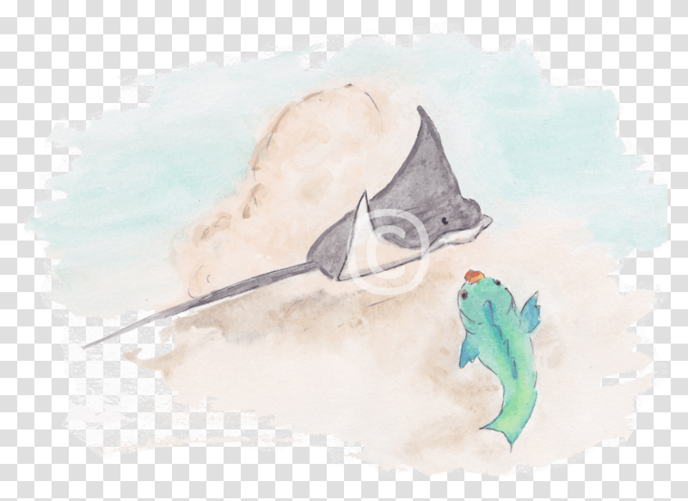 Illustration Of Eagle Ray And Parrotfish From The Book Stingray, Animal, Manta Ray, Sea Life Transparent Png