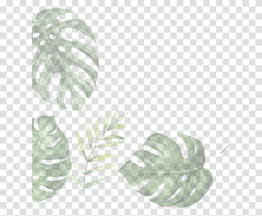 Illustration Of Leaves Illustration, Leaf, Plant, Green, Potted Plant Transparent Png