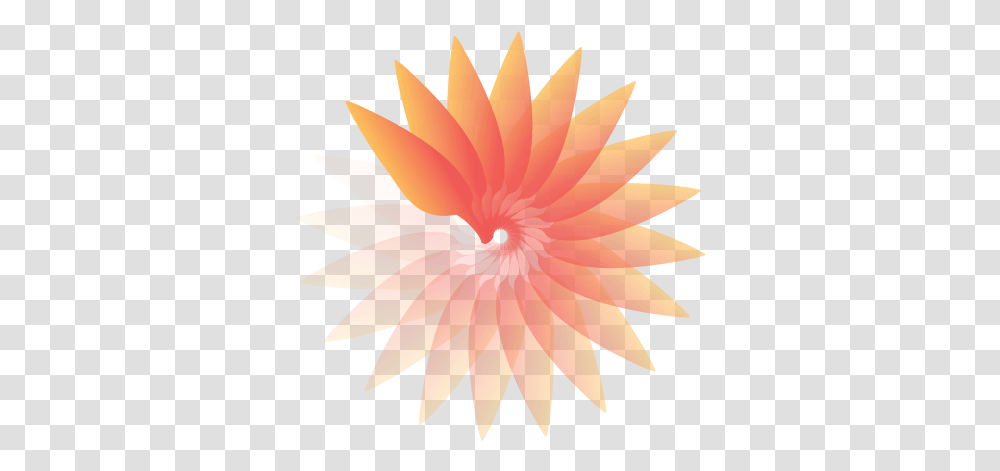 Illustration Of Orange Gradient Sunburst Desafio Solar Brasil Logo, Ornament, Pattern, Plant, Fractal Transparent Png