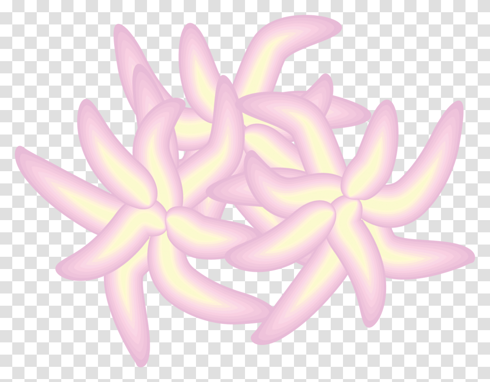 Illustration Of Platelets Flower, Plant, Petal, Blossom, Knot Transparent Png