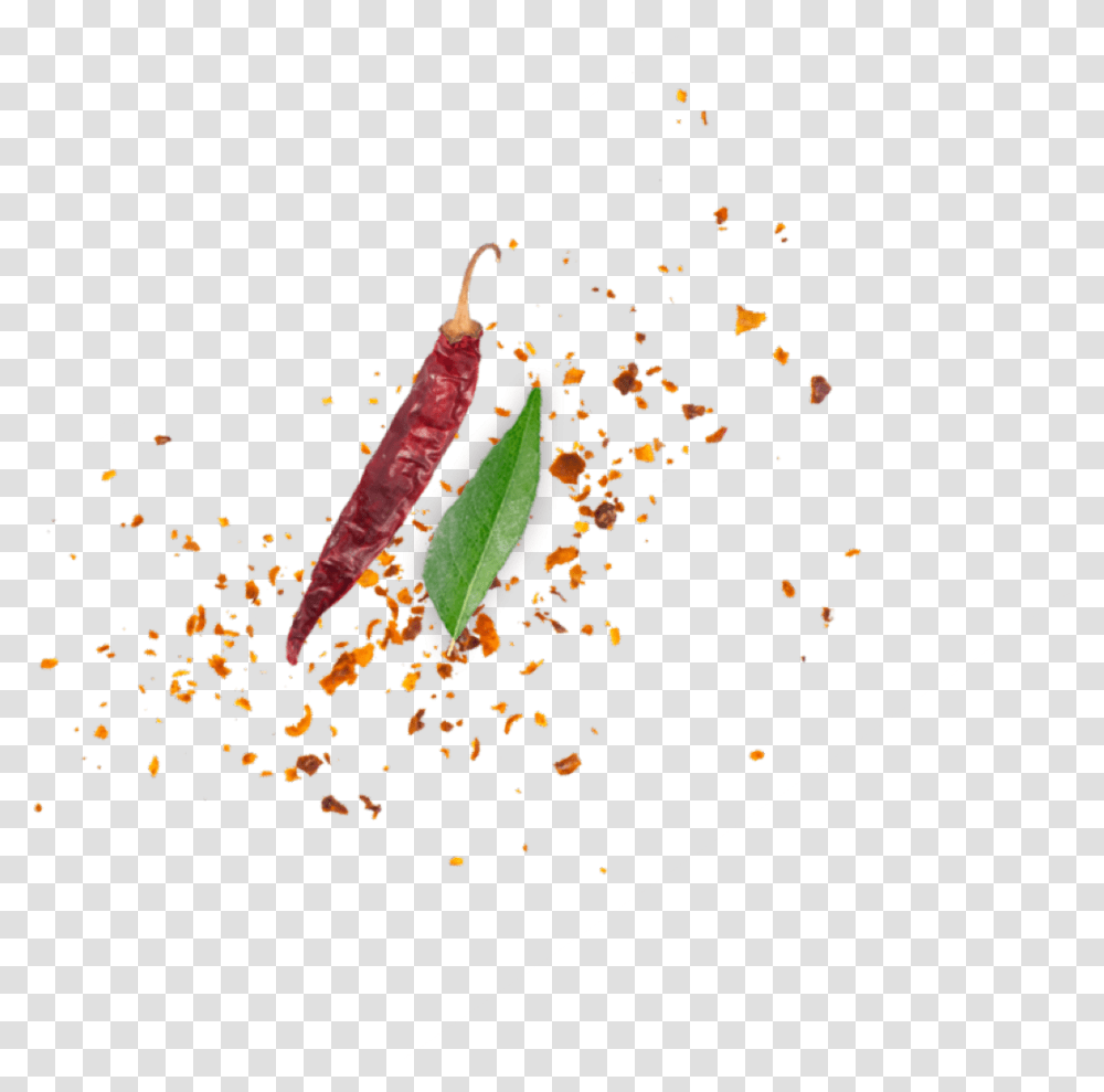 Illustration, Paper, Confetti, Food, Plant Transparent Png