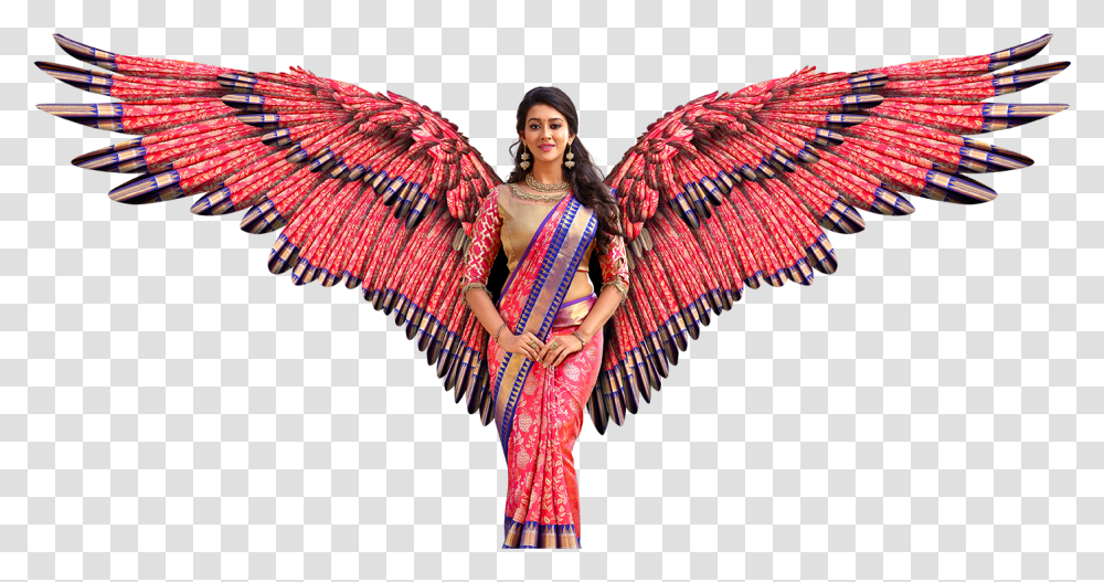 Illustration, Person, Costume, Angel Transparent Png