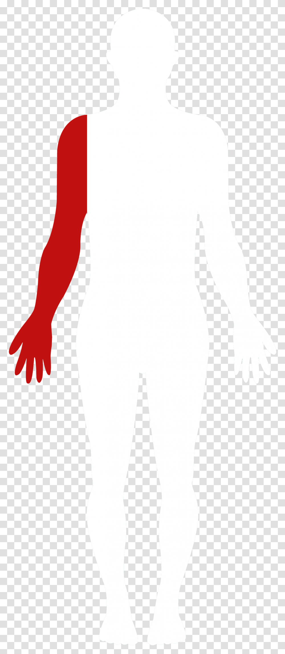 Illustration, Person, Human, Hand, Arm Transparent Png